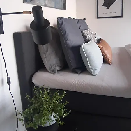 ベッド・アンド・ブレックファスト Sjiek Basiliek 4*